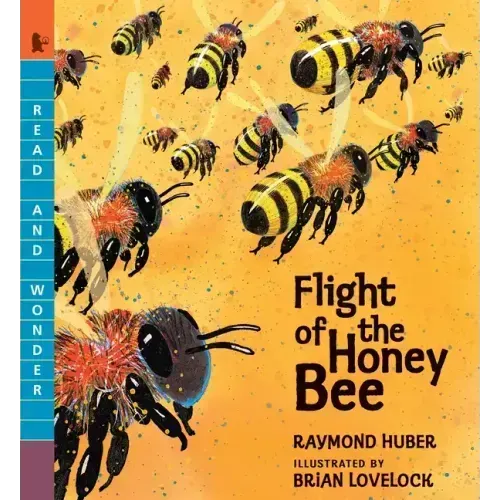 Flight of the Honey Bee: Read and Wonder