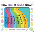 How Big Is Baby Now?