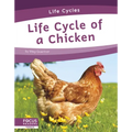 Life Cycle of a Chicken