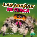 Las Arañas de Cerca (Spiders Up Close)