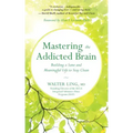 Mastering the Addicted Brain: Building a Sane and Meaningful Life to Stay Clean