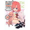 My Youth Romantic Comedy Is Wrong, as I Expected, Vol. 13 (Light Novel): Volume 13