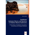 Symbioses between Worms and Bacteria in Shallow Marine Sediments