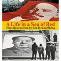 Liu Heung Shing: A Life in a Sea of Red