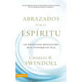 Abrazados por el Espíritu Softcover Embraced by the Spirit