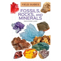 Fossils, Rocks, and Minerals