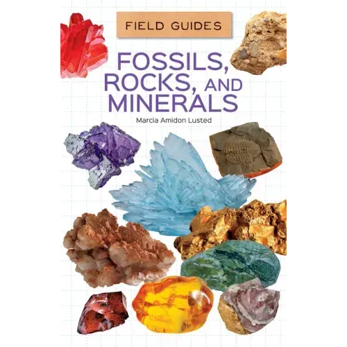 Fossils, Rocks, and Minerals