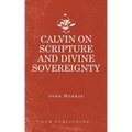 Calvin on Scripture and Divine Sovereignty