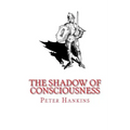 The Shadow of Consciousness: A Little Less Wrong
