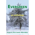 Evergreen