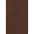 CSB Rainbow Study Bible, Brown Leathertouch