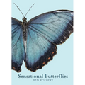 Sensational Butterflies