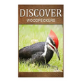 Woodpeckers - Discover: Early reader's wildlife photography book