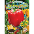 See Bell Peppers Grow