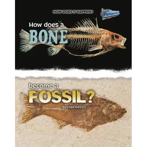 How Does a Bone Become a Fossil?