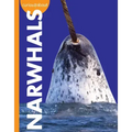 Curious about Narwhals