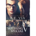 Nothing Special V