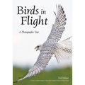 Birds in Flight: A Photographic Essay of Hawks, Ducks, Eagles, Owls, Hummingbirds, & More
