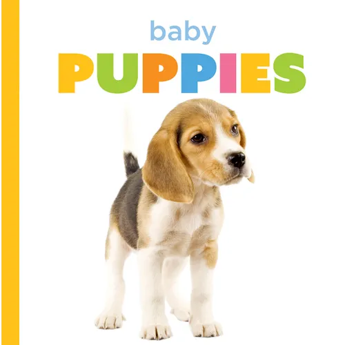 Baby Puppies