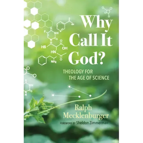 Why Call It God?: Theology for the Age of Science