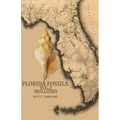 Florida Fossils: Mollusks