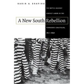 A New South Rebellion: The Battle against Convict Labor in the Tennessee Coalfields, 1871-1896