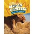 African Lionesses: Hunters of the Pride