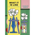 What It Is Like: New and Selected Poems