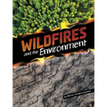Wildfires and the Environment