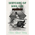 Sketches of Bird Life - From Twenty Years Observation of Their Haunts and Habits - With Illustrations by Wolf, C. Whymper, Keulemans, and Thorburn