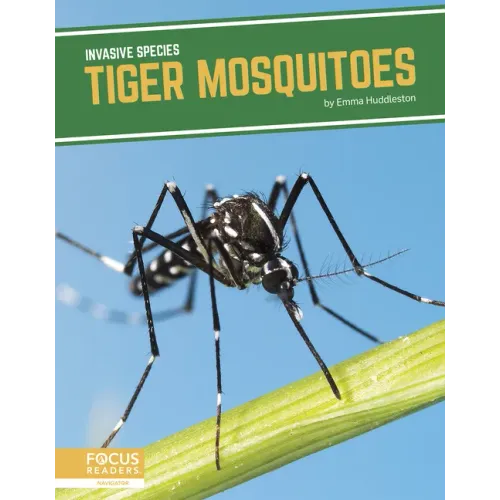 Tiger Mosquitoes