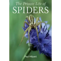 The Private Life of Spiders