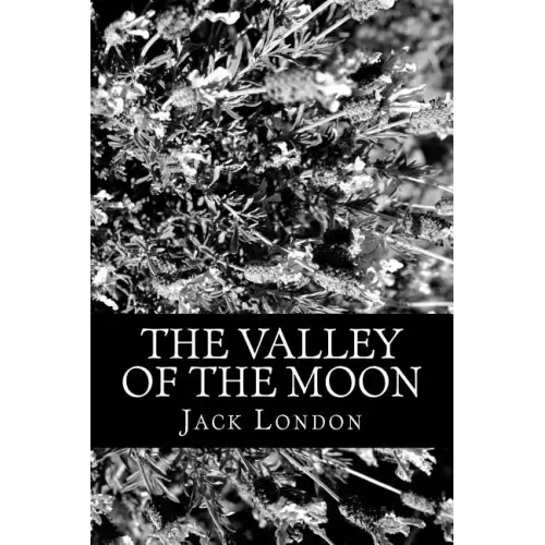 The Valley of the Moon