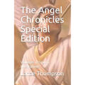The Angel Chronicles Special Edition: Volumes 1-5 w/o Illustrations