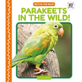 Parakeets in the Wild!