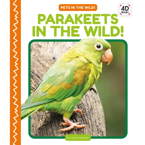 Parakeets in the Wild!