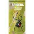 Spiders: A Folding Pocket Guide to Familiar & Unusual Species Worldwide