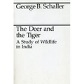 The Deer and the Tiger