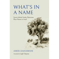 What's in a Name: Stories behind Arabic-Palestinian Place-Names in Israel