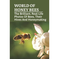 World Of Honey Bees: The Brilliant, Real-Life Photos Of Bees, Their Hives And Honeymaking: Bee Facts For Kids