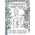 Pregnant with twins.: Mindful colouring for twin pregnancy.