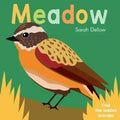 Now You See It! Meadow
