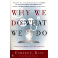 Why We Do What We Do: Understanding Self-Motivation
