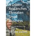 A Dozen Avalanches Threaten Small Business: Which One Will Bury You Alive?