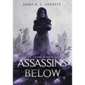 Assassins Below: Tales from Haven City