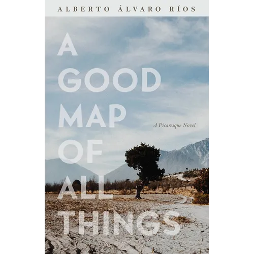 A Good Map of All Things: A Picaresque Novel