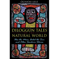 Diloggún Tales of the Natural World: How the Moon Fooled the Sun and Other Santería Stories