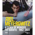 Joel Meyerowitz: A Sense of Wonder: Photographs 1962-2022