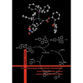 Eta2 Complexes of Group 10 with Cinnamic Acid Derivatives; Spectroscopic Properties, Stability, Reactivity and Application Potential as Photo-Switchab