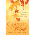 Chasing The Wind
